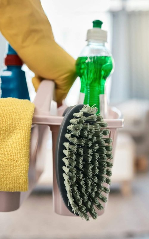 House, cleaning and hand of cleaner holding bucket of product for hygiene and housework or chores.